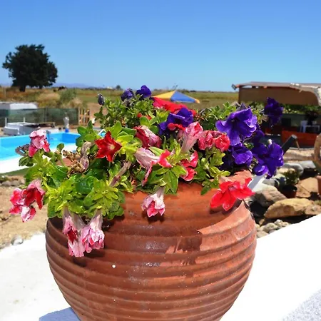 Kenny's Estate Mastichari (Kos)